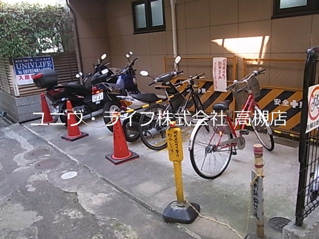 シェットランド その他20
