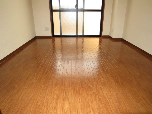 フェリセ富田 リビング