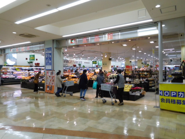 光栄ハイツ古曽部 周辺画像10