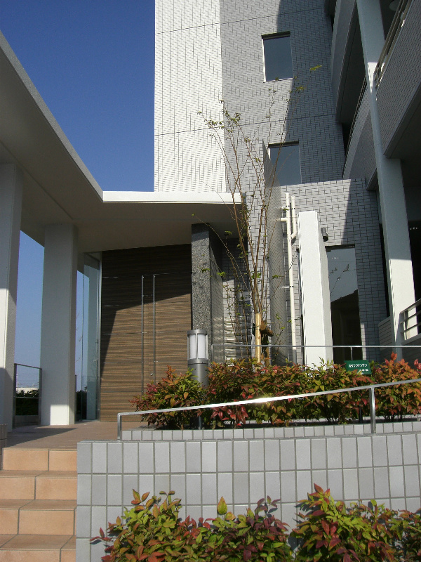 ルミナスベガ その他2