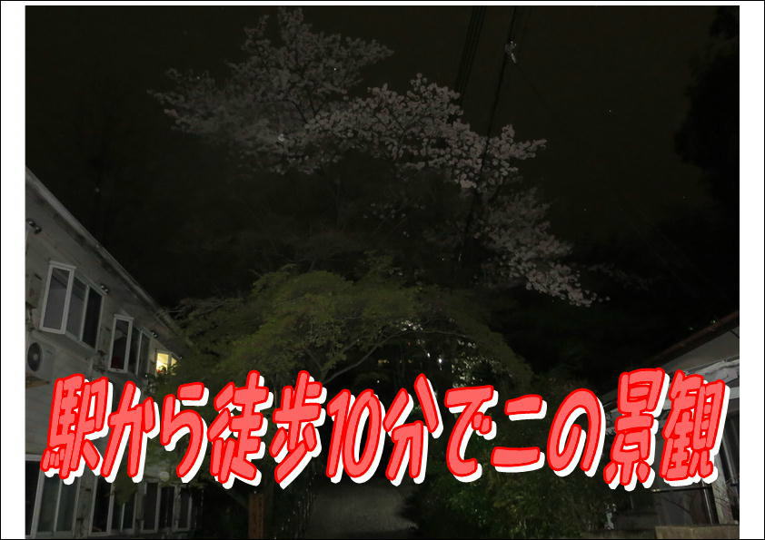 コーポ朝風  その他9