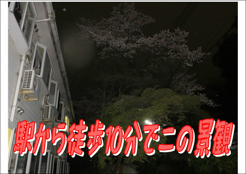 コーポ朝風  その他11