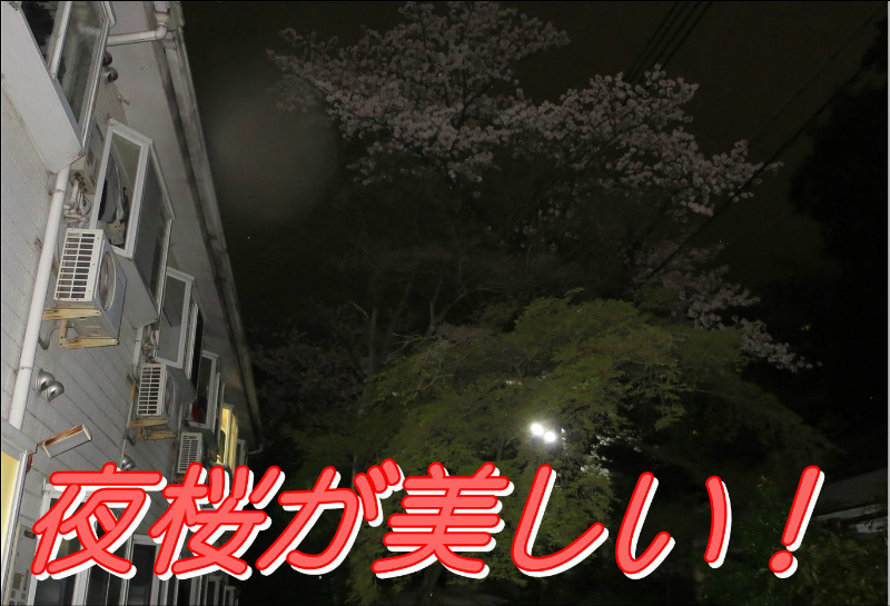 コーポ朝風  その他12