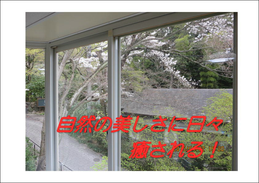 コーポ朝風  その他14