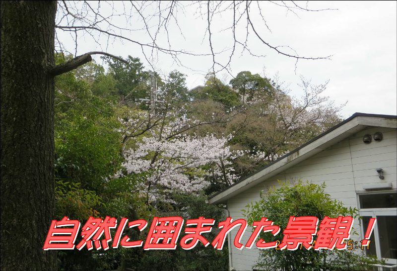 コーポ朝風  その他15