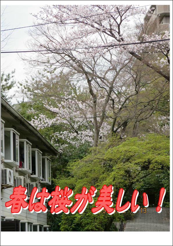 コーポ朝風  その他18