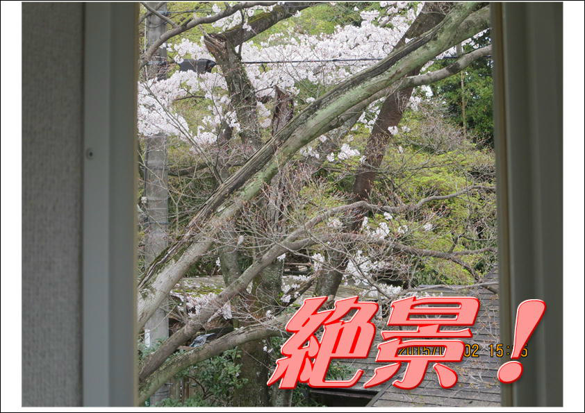 コーポ朝風  その他20
