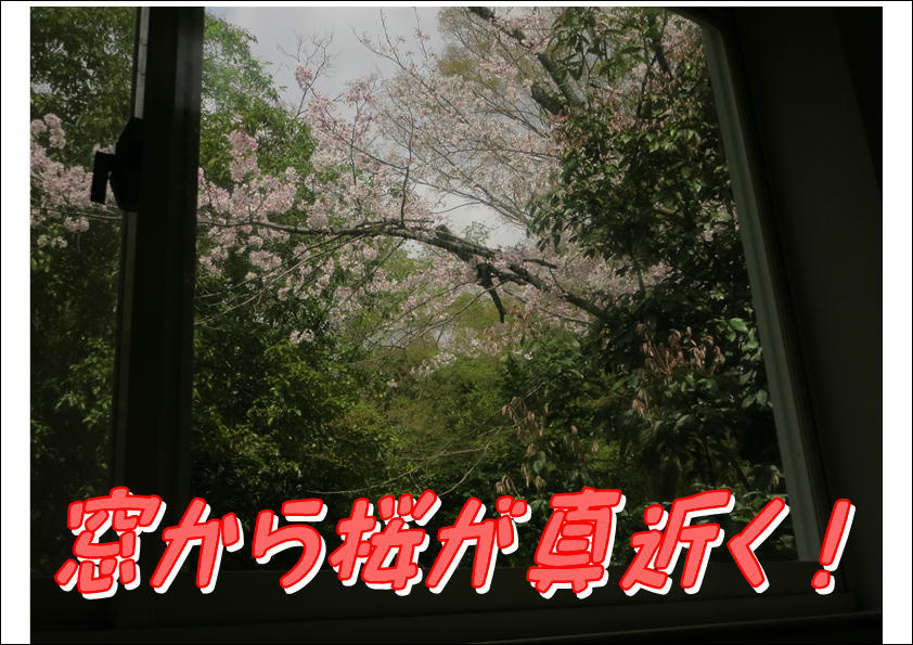 コーポ朝風  その他21