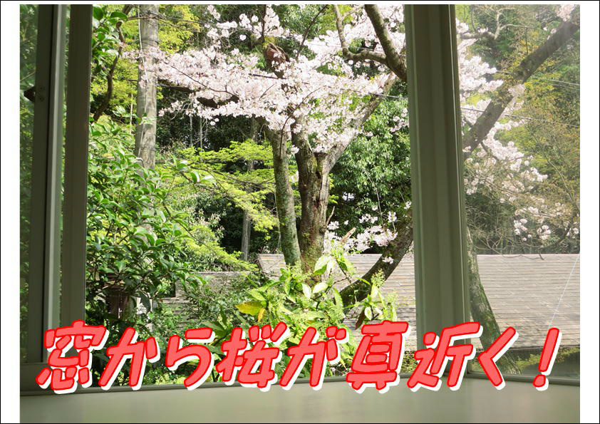 コーポ朝風  その他22
