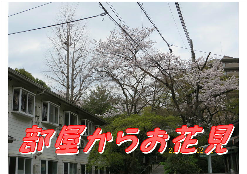 コーポ朝風  その他23
