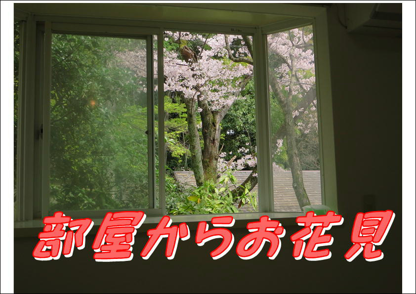 コーポ朝風  その他24