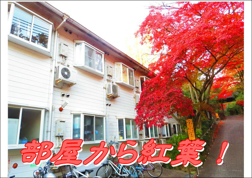コーポ朝風  その他25