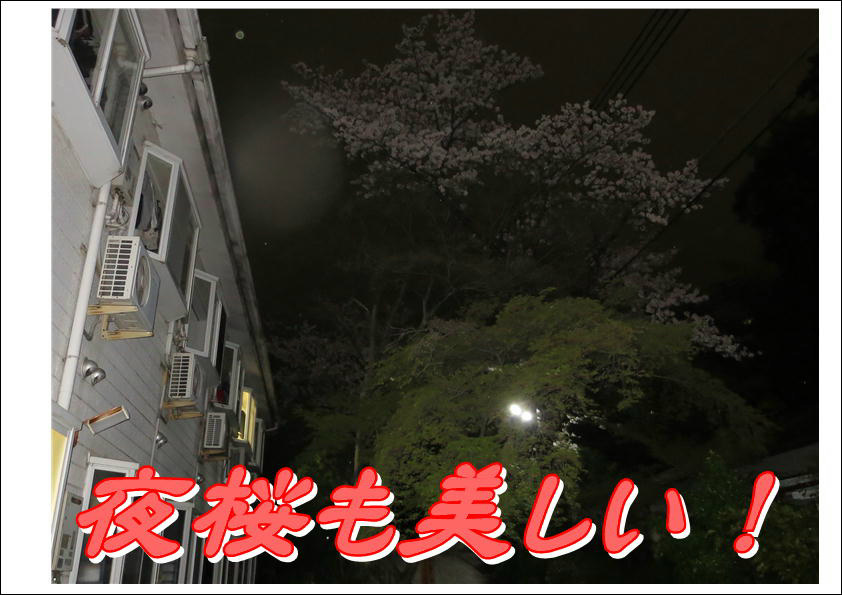 コーポ朝風  その他26