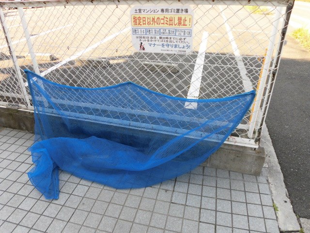 土室マンション その他12