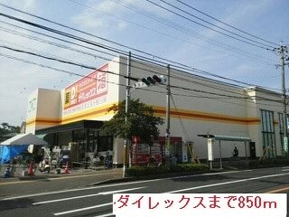 クィーンＤ その他