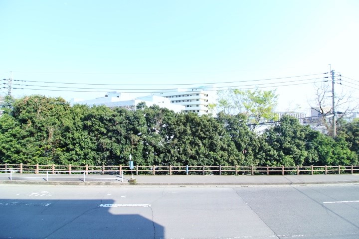 セーラス城山町 その他