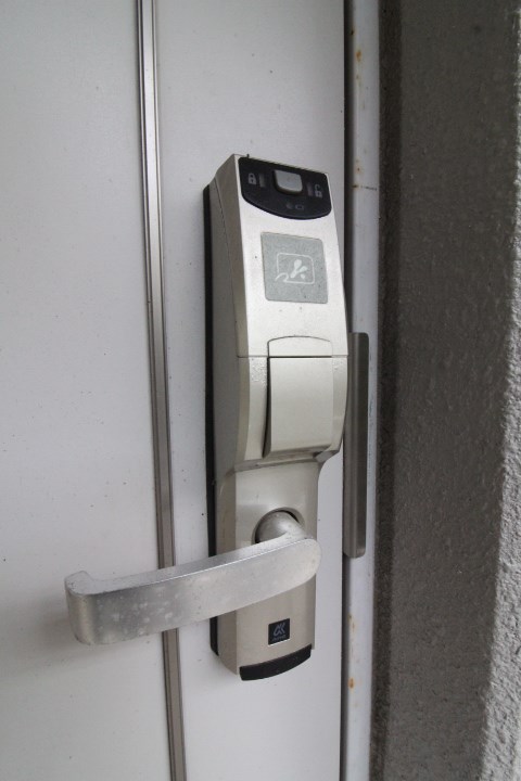 鹿児島県鹿児島市宇宿６丁目 庭