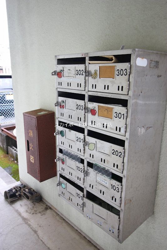 フルーツマンション その他16