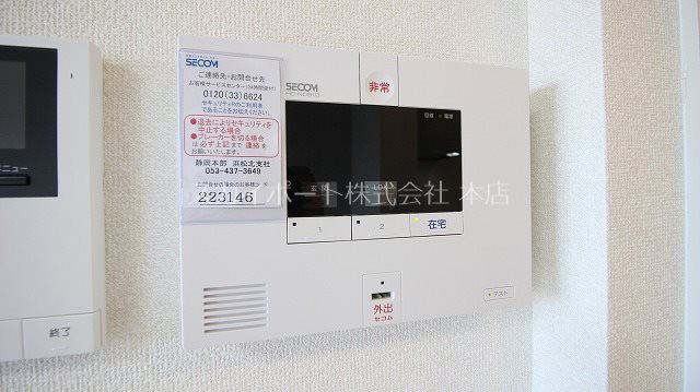 エヴァーグリーン その他4