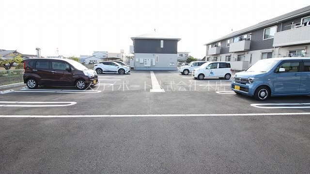 エヴァーグリーン その他6