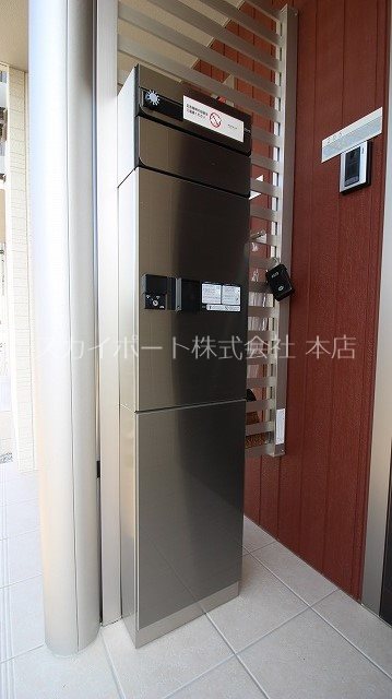 エヴァーグリーン その他8