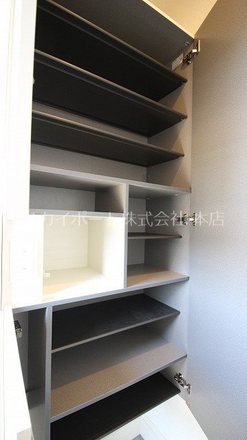 エヴァーグリーン その他10