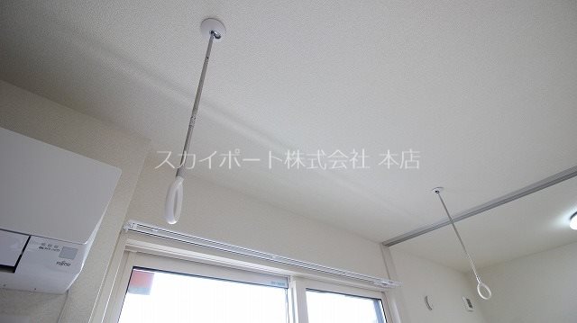 エヴァーグリーン その他22