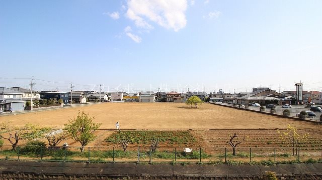 エヴァーグリーン その他29