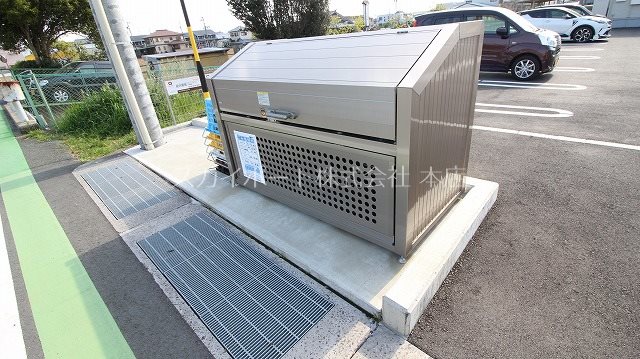 エヴァーグリーン その他30