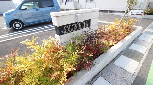 エヴァーグリーン その他31