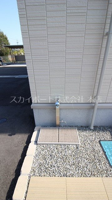 エヴァーグリーン その他32