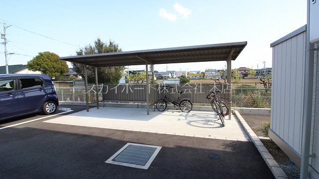 エヴァーグリーン その他33