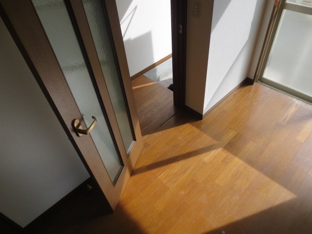 カミーノ その他3