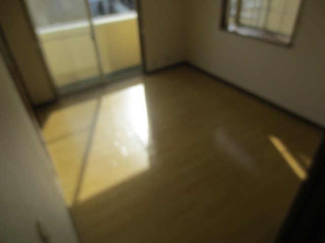 カミーノ その他6
