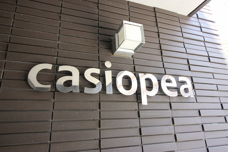 カシオペア その他9