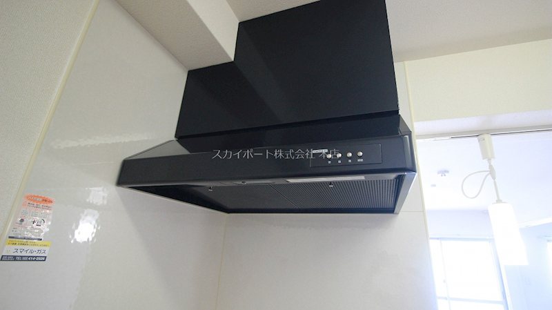 AMUSE その他19