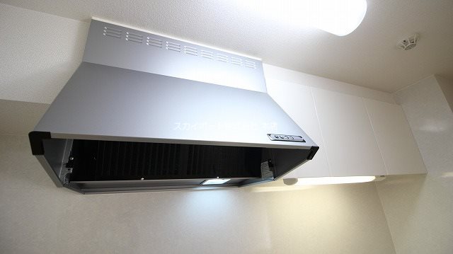 サンリット初生Ⅱ その他17
