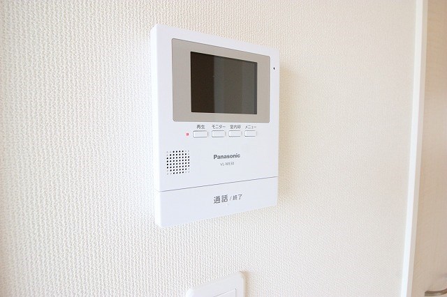 シーダー初生 その他4