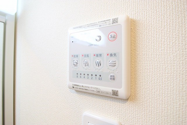 シーダー初生 その他5