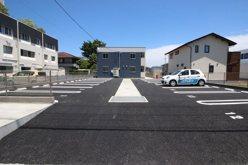 シーダー初生 その他6