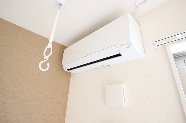 シーダー初生 その他11