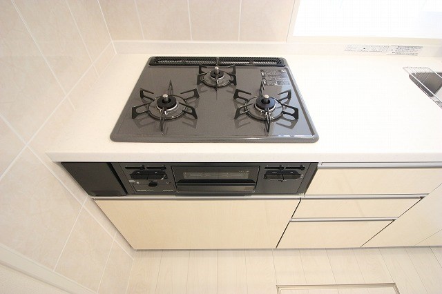 シーダー初生 その他15