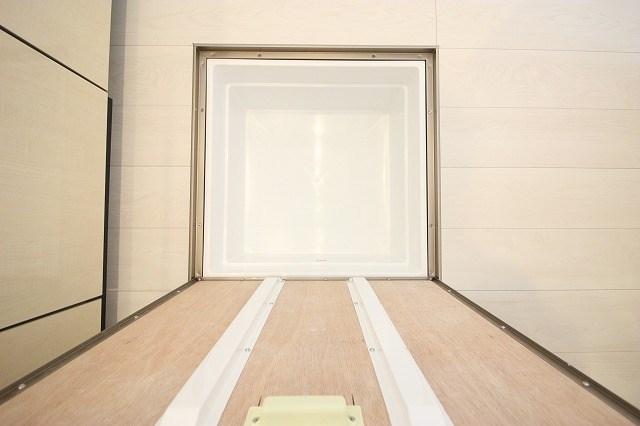 シーダー初生 その他16