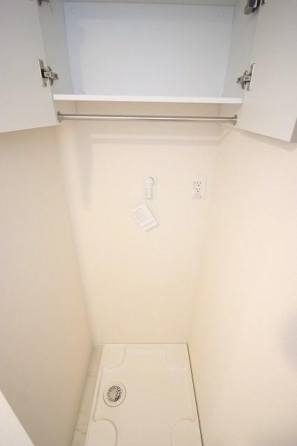 シーダー初生 その他19