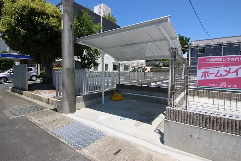 シーダー初生 その他20