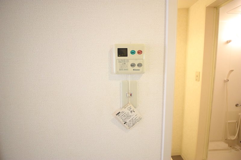 クレフラスト初生 その他6