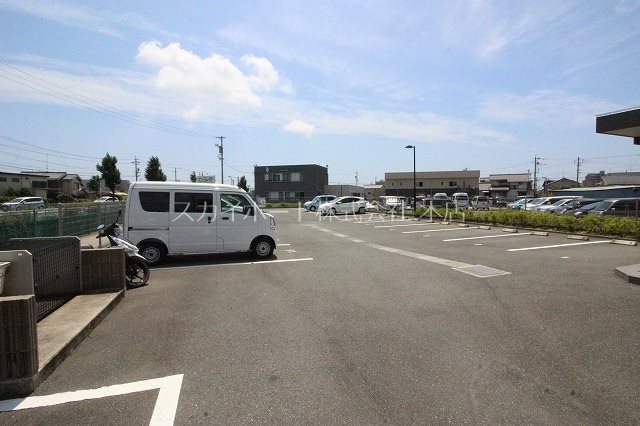 BELL TREE初生 その他7