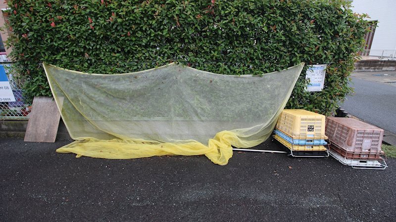 サンテラス初生 その他1