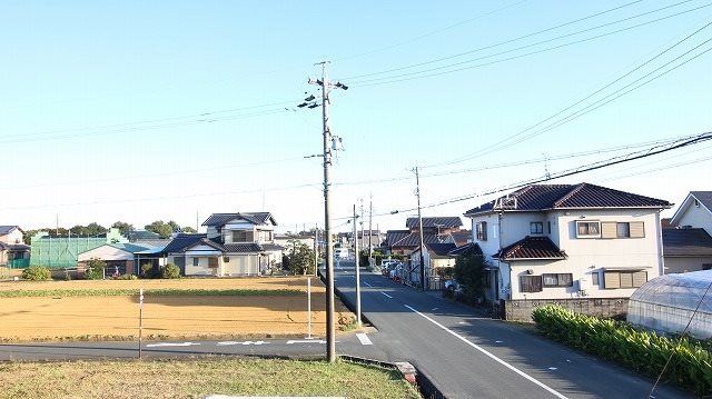 パインツリーA その他6