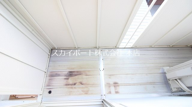 LITTLE KOHOKU その他24